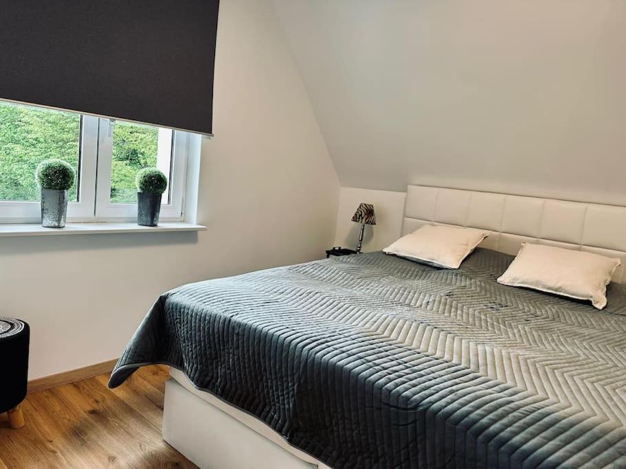 Moderne Ferienwohnung Zweifall ชตอลแบร์ก ภายนอก รูปภาพ